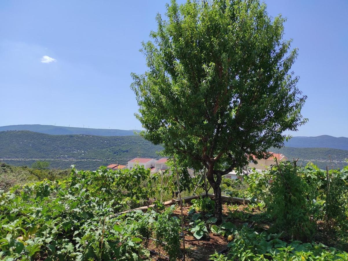 One Bedroom Apartment Gogo With Private Parking Neum Buitenkant foto
